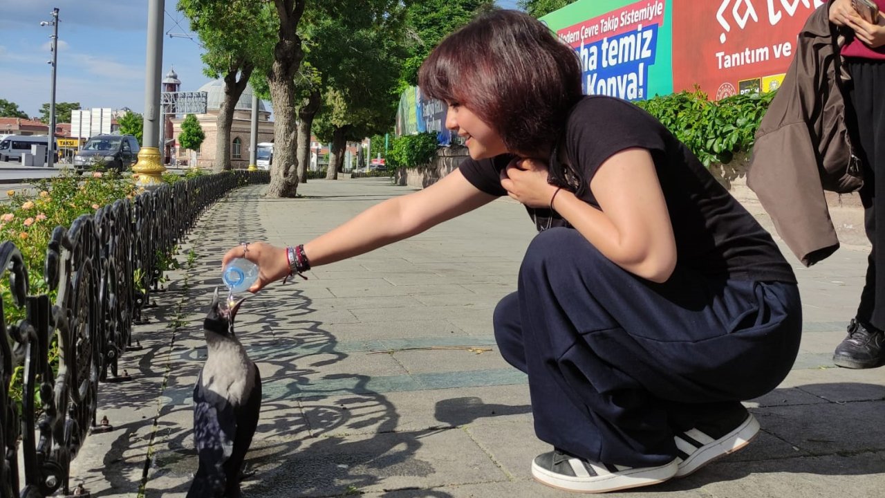 Konya'da Yürekleri Isıtan Anlar: Sıcakta Susayan Kargaya Şefkat Eli