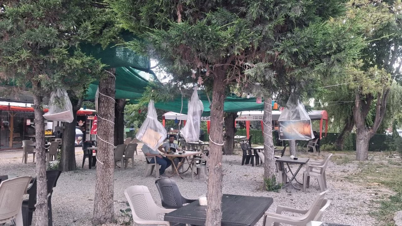 Konyalı öğretmenden örnek hareket! kitapları ağaçlara astı, okurlara sürpriz hediye dağıttı!
