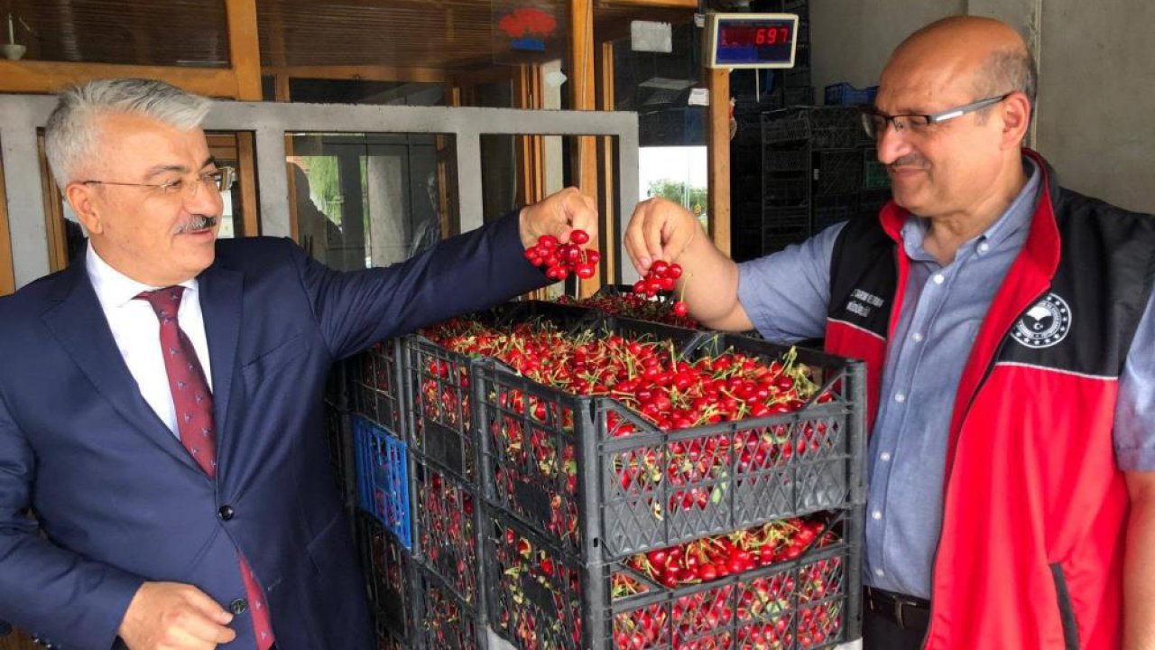 Akşehir’in kırmızı hazinesi yakın takipte