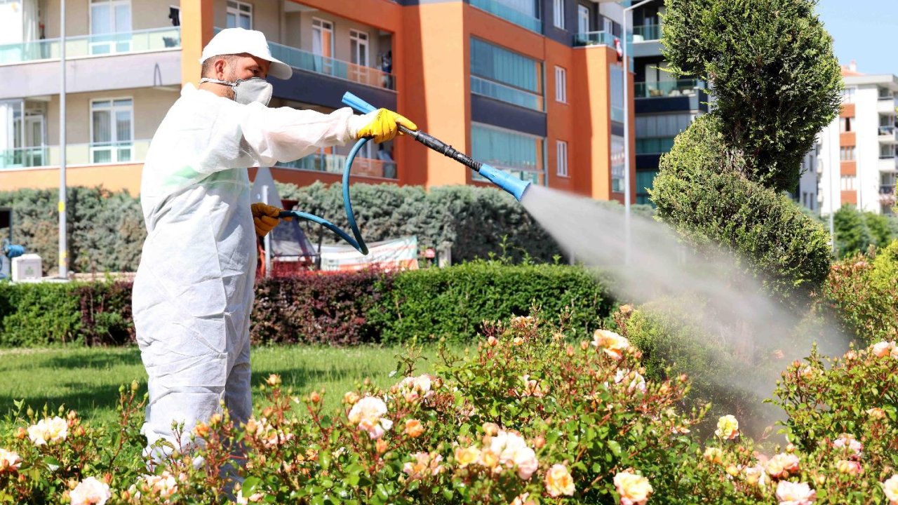 Karatay'da ilaçlama çalışmaları tüm hızıyla sürüyor!
