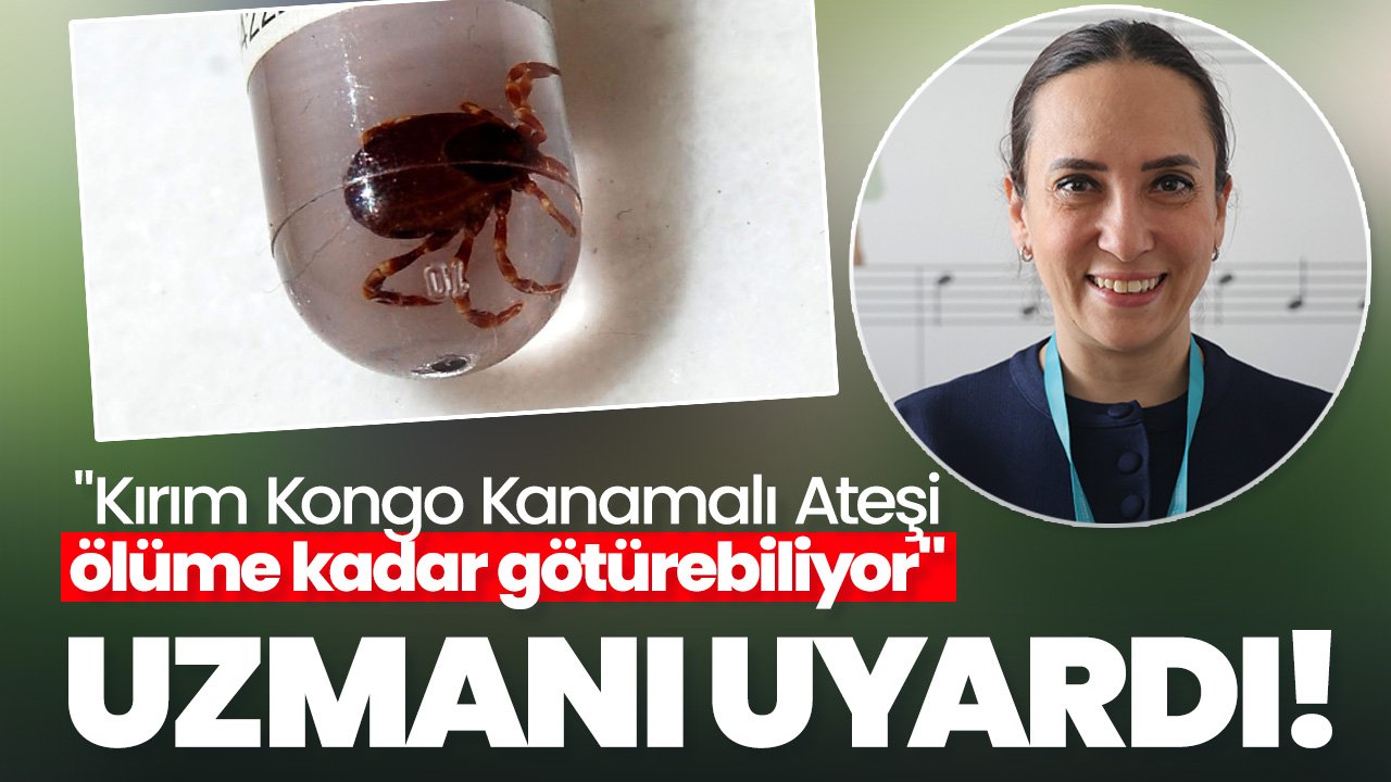 Yaz Geldi, Kene Tehlikesi Başladı: Uzmanlardan Hayati "KKKA" Uyarısı!