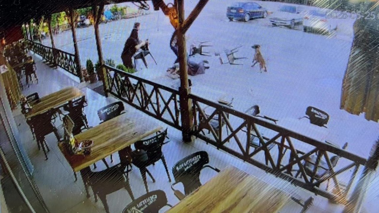 Afyonkarahisar'da köpek dehşeti yaşandı! Tekmelere aldırmayan köpek kadını yaraladı