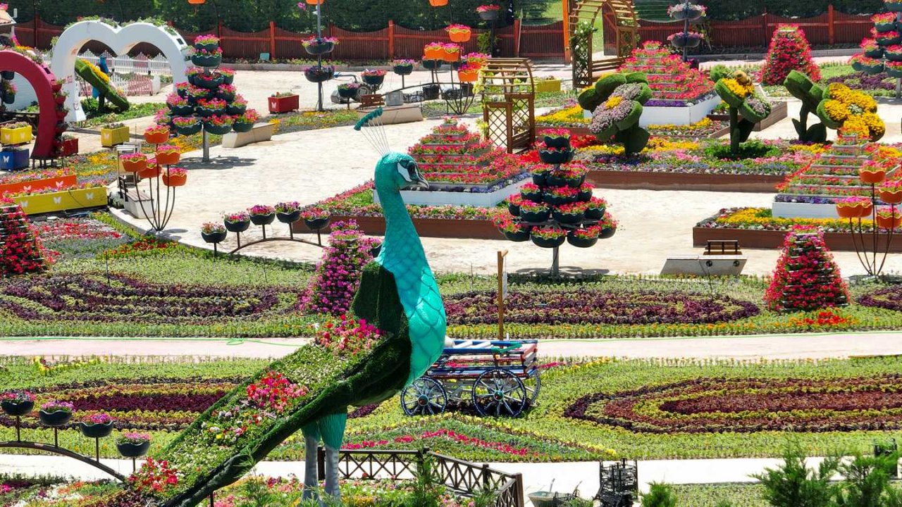 Konya’nın renk cenneti yeniden açılıyor! Selçuklu Çiçek Bahçesi ziyaretçilerini bekliyor!