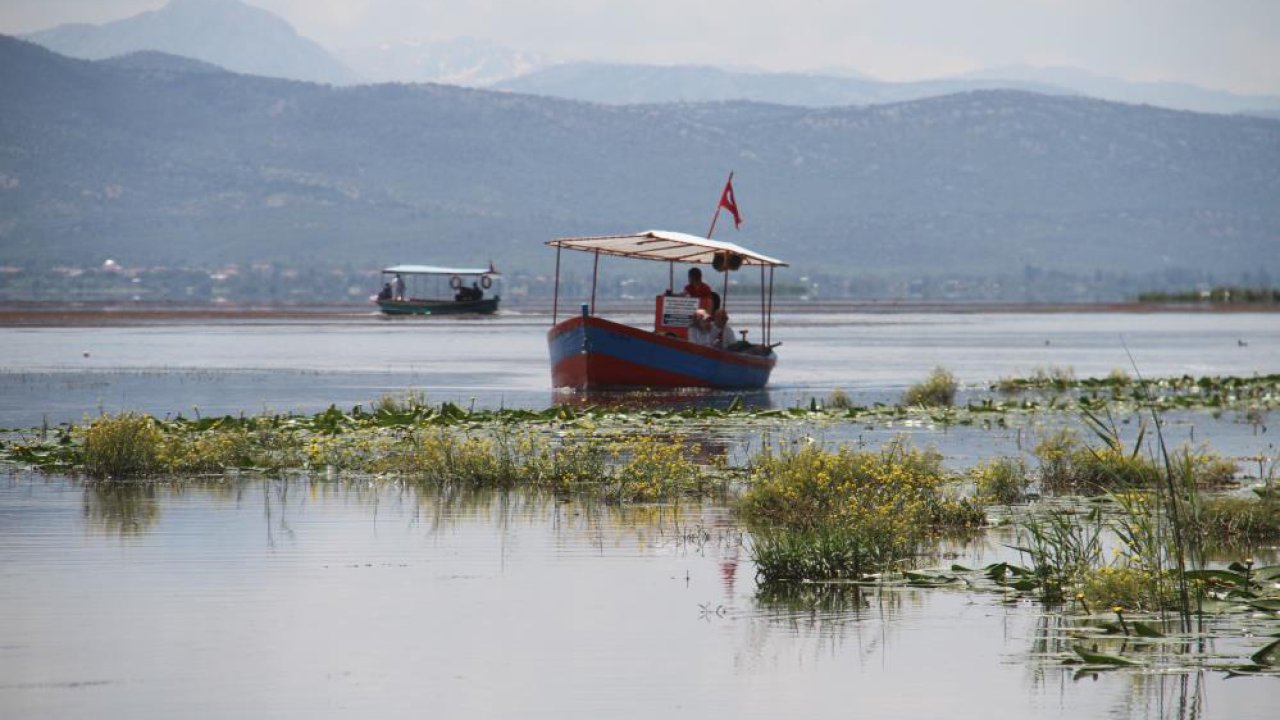 Beyşehir Gölü’nde nilüfer şöleni başladı!