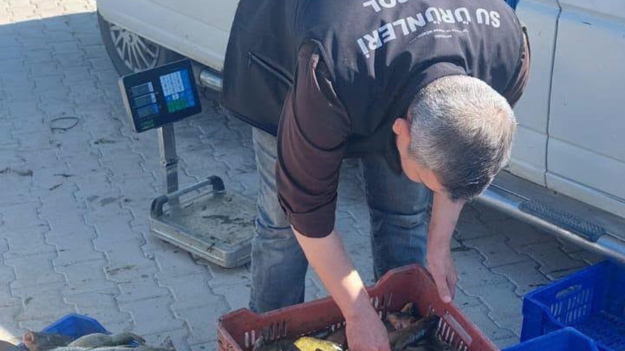 Beyşehir Gölü'nde cetvelli denetim! Balıklar tek tek ölçüldü