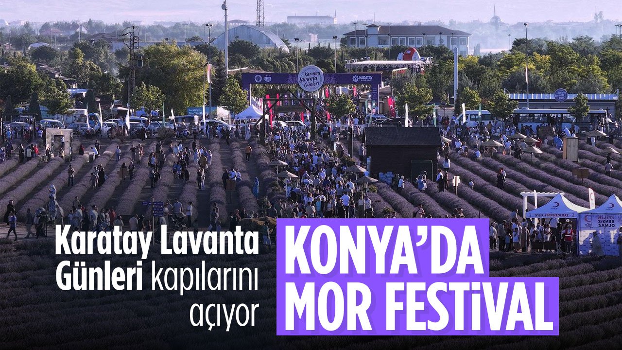 Konya'da mor festival başlıyor: 3 gün sürecek