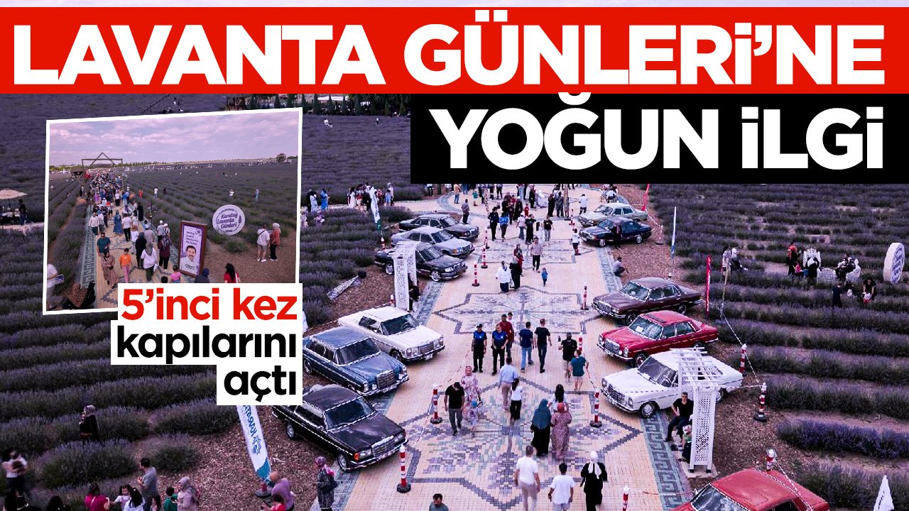 Karatay’da Mor Şölen Başladı: 5. Geleneksel Lavanta Günleri Kapılarını Açtı