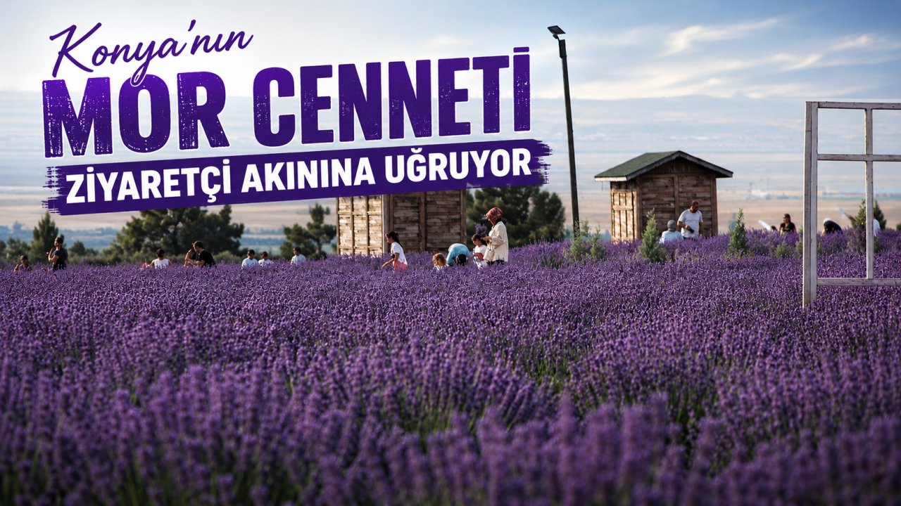 Konya'nın mor cenneti ziyaretçi akınına uğruyor
