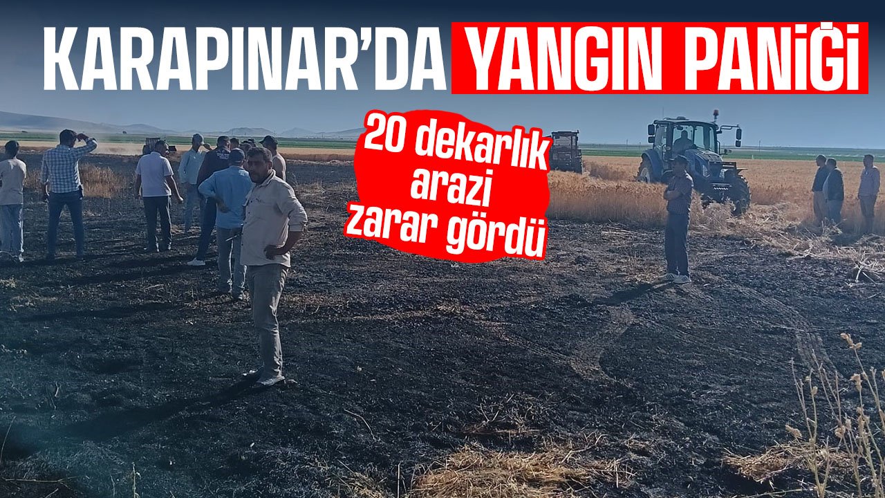 Konya'da buğday ekili arazide yangın çıktı: 20 dekarlık ekili alan zarar gördü