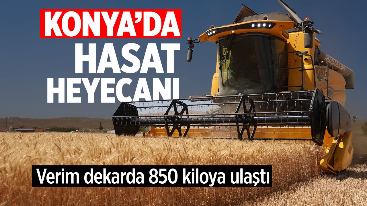 Son yılların en bereketli hasadı: Uzmanlar Konya'da Çiftçinin Bayramı diyerek belirtti