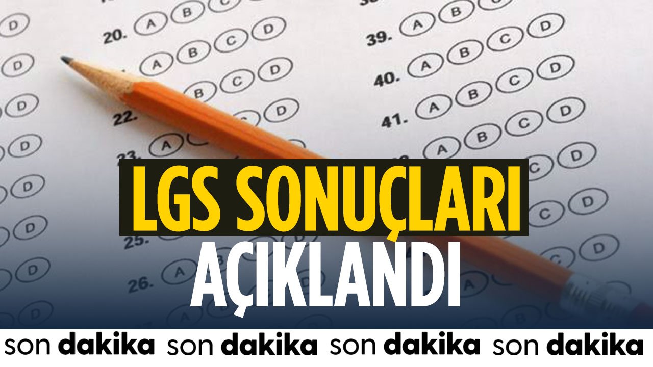 LGS sonuçları açıklandı: 452 öğrenci 500 tam puan aldı