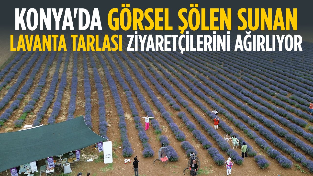 Konya'da 35 bin metrekarelik lavanta tarlası görenleri mest ediyor