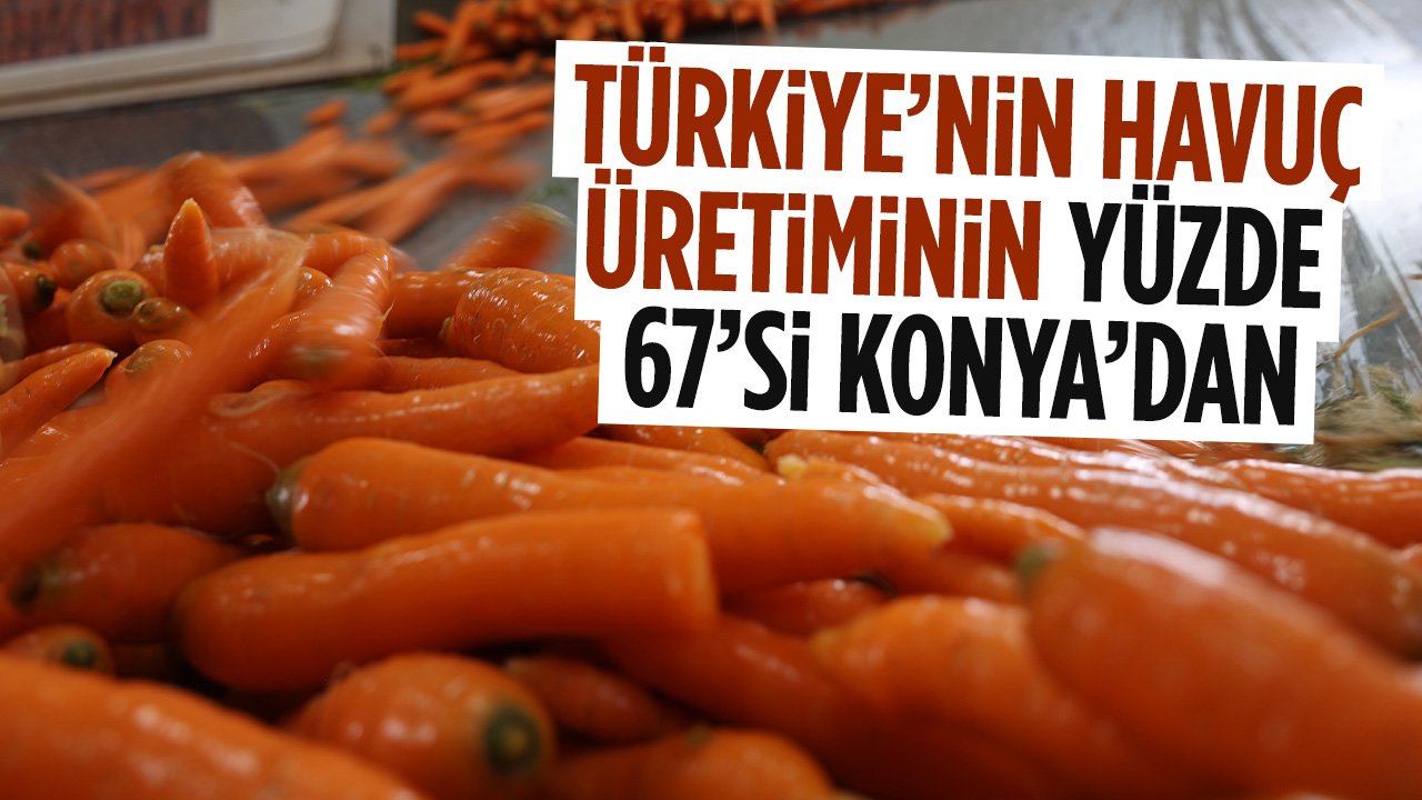 Konya'dan dünya sofralarına: Türkiye'de havuç üretiminin yüzde 67'si Konya'dan