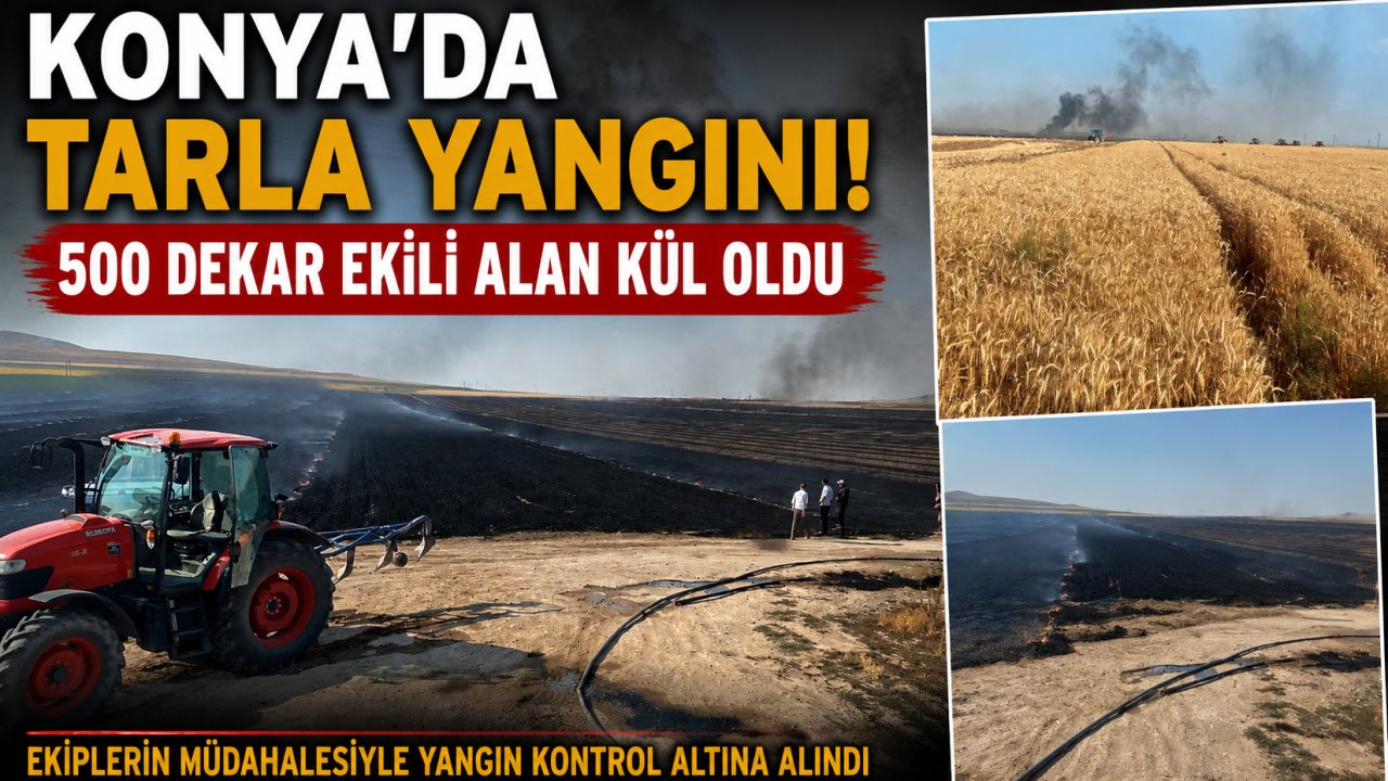 Konya'da tarla yangını: 500 dekar ekili alan kül oldu
