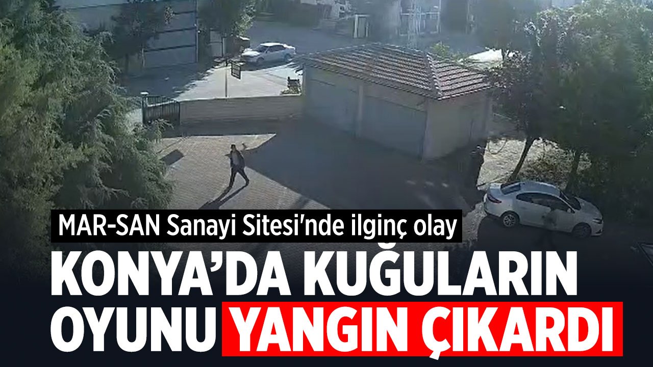 Konya'da ilginç olay: Kuğuların oyunu yangın çıkarttı