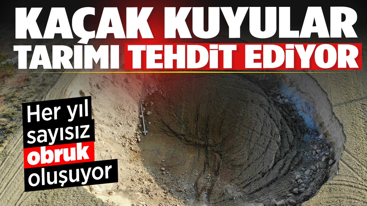 Konya'da kaçak kuyular tarımı tehdit ediyor! 35 bin belgeliye karşı 140 bin belgesiz