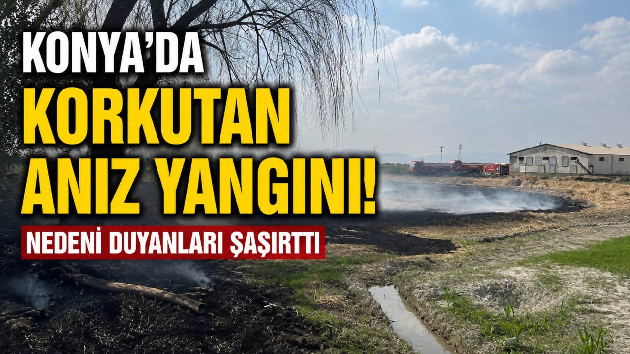 Konya'da korkutan anız yangını! Nedeni duyanları şaşırttı