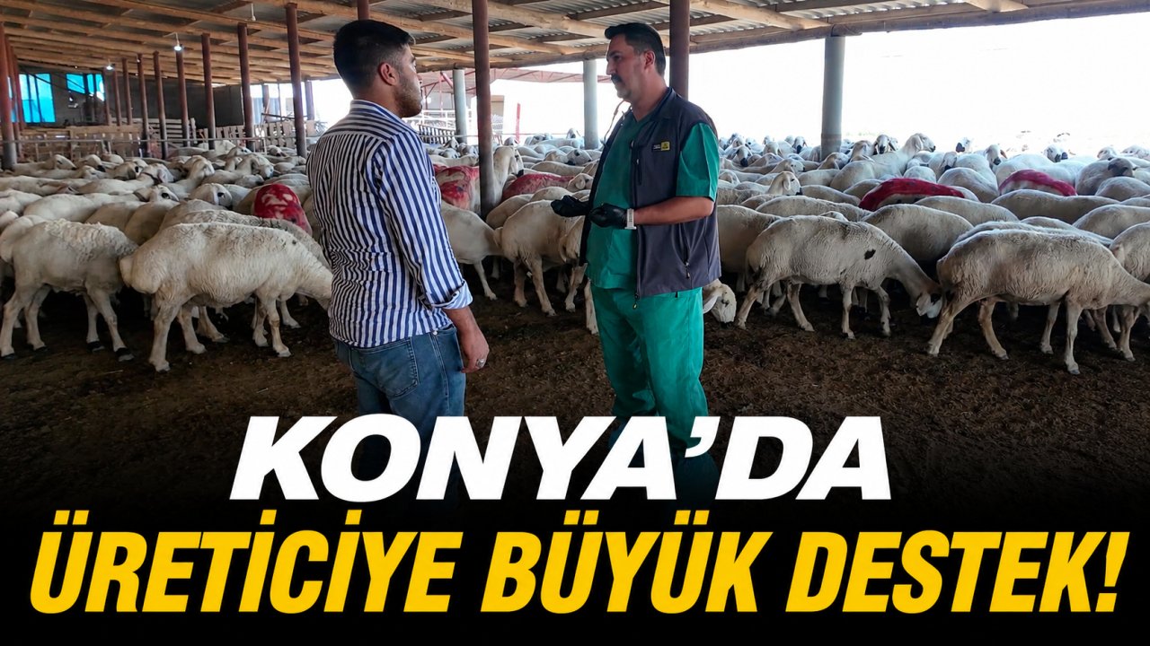 Konya'da üreticiye büyük destek!