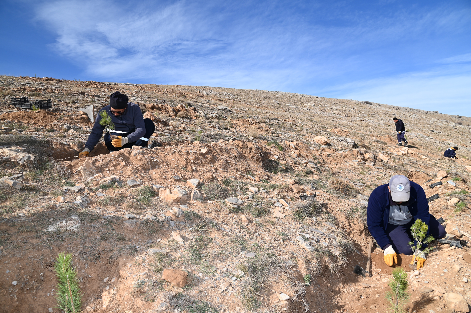 Selçuklu’ da Yeşil Dokuya 22 Bin 500 Yeni Fidan Daha Kazandırıldı