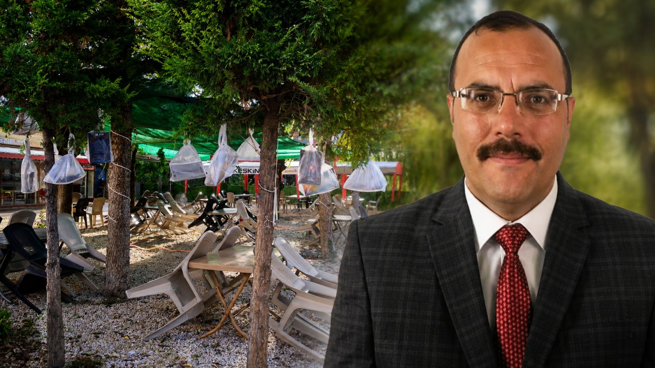 Konya Cihanbeyli'de Dikkat Çeken Kitap Hareketi! Lütfi Şahin Eserlerini Ağaç Dallarına Astı!