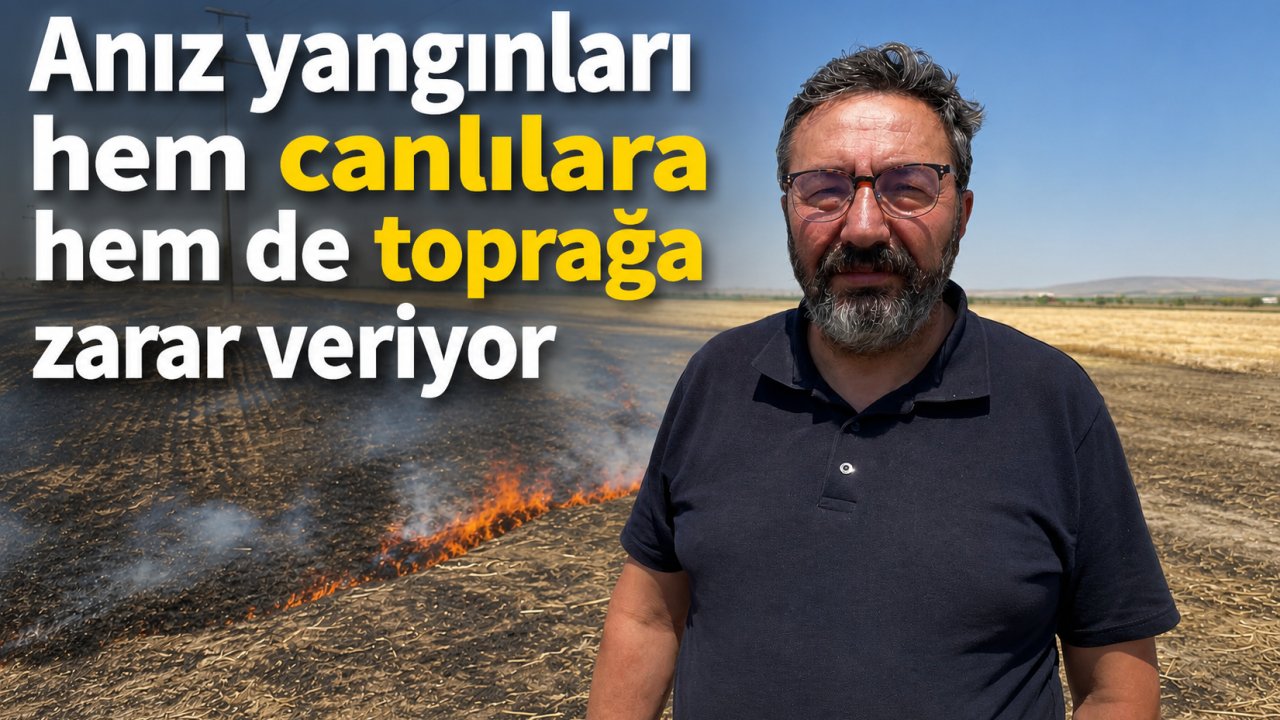 Anız yangınları hem canlılara hem de toprağa zarar veriyor