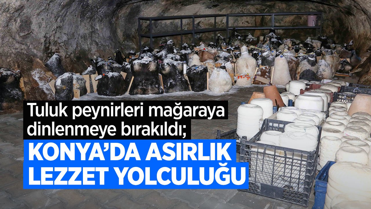 Konya'da asırlardır süren lezzet yolculuğu: Tuluk Peynirleri mağaraya bırakıldı