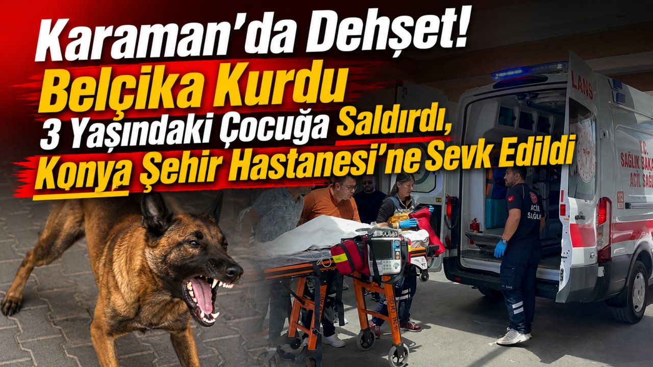 Karaman'da köpek dehşeti! 3 yaşındaki çocuk Konya Şehir Hastanesi'nde yaşam savaşı veriyor