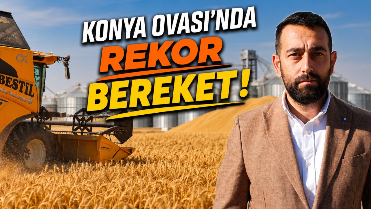 Konya Ovası'nda rekor bereket! Buğday ve arpada beklentiler aşıldı