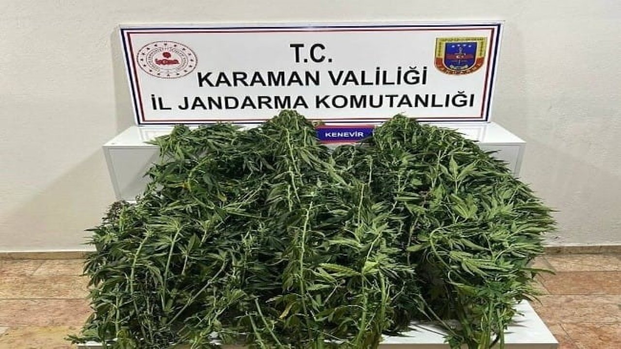 Karaman'da jandarmadan büyük operasyon! 44 kişi yakalandı, ele geçenler şaşırttı