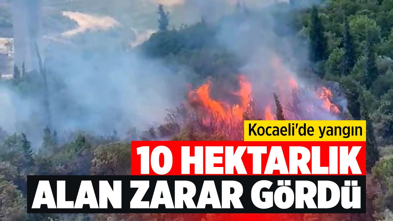 Kocaeli'de yangın: 10 hektarlık alan zarar gördü