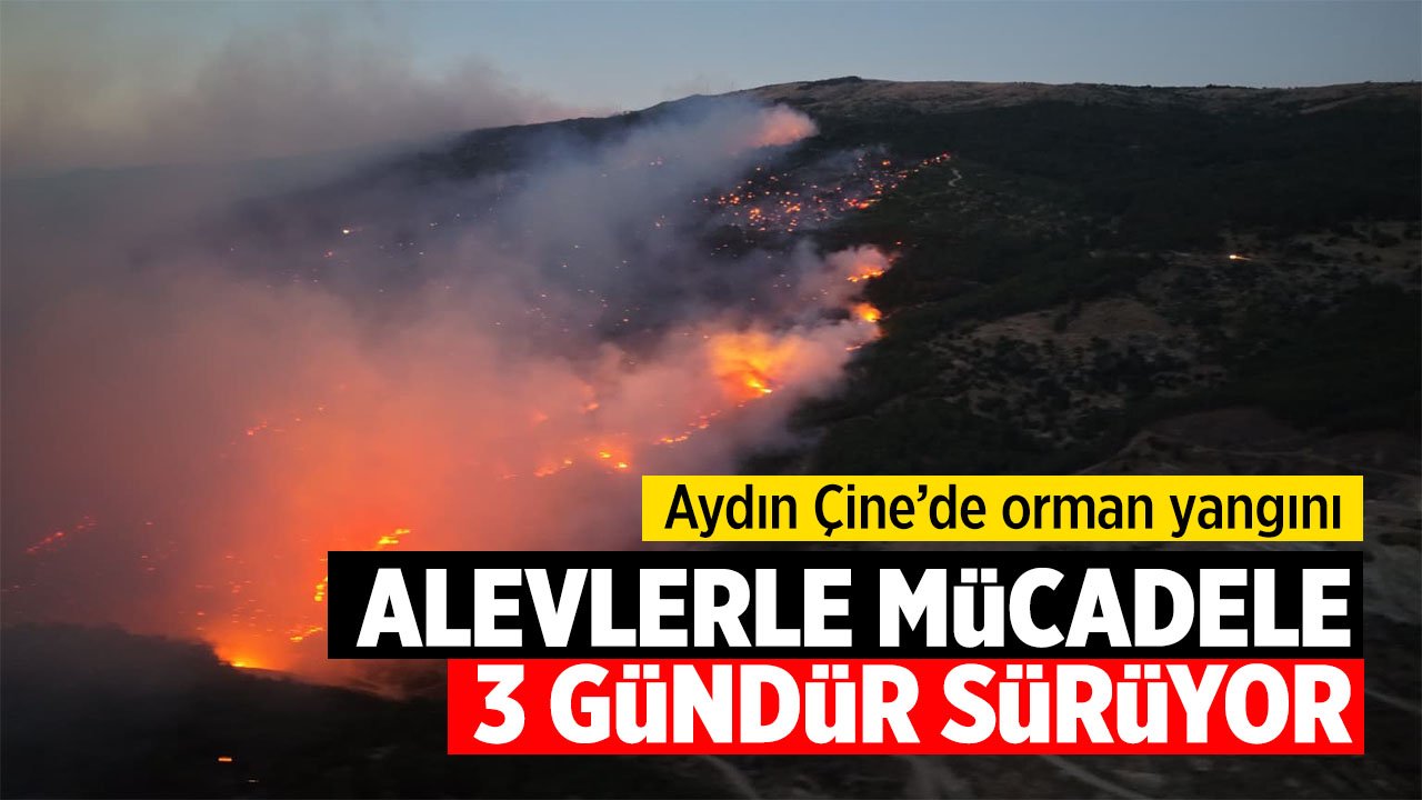 Aydın Çine'de orman yangını büyük ölçüde kontrol altına alındı