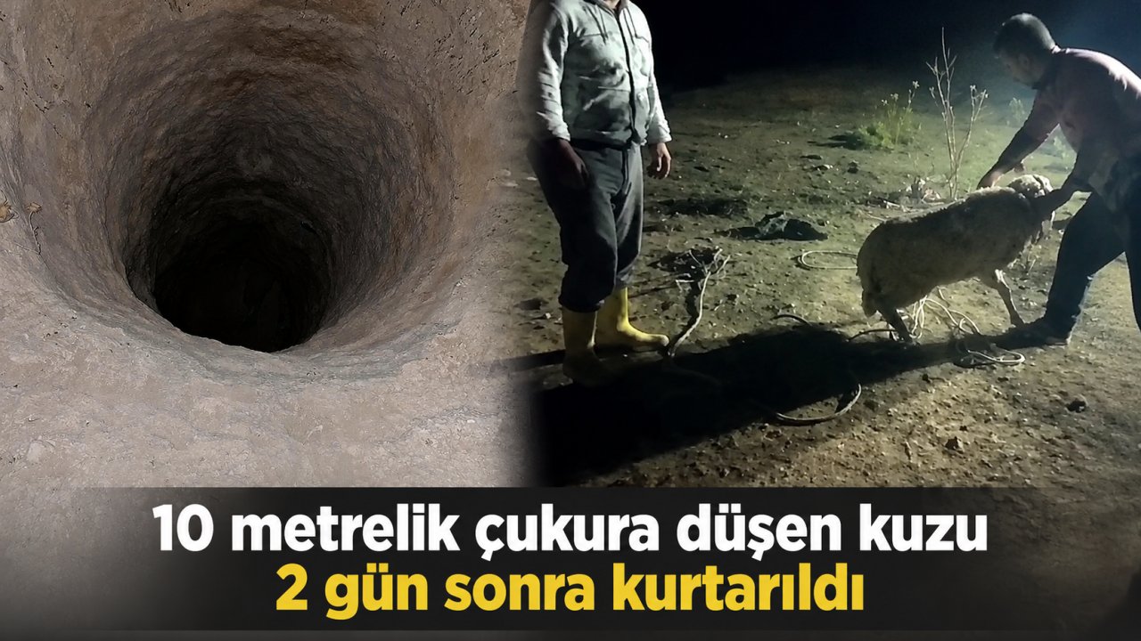 10 metrelik çukura düşen kuzu 2 gün sonra kurtarıldı