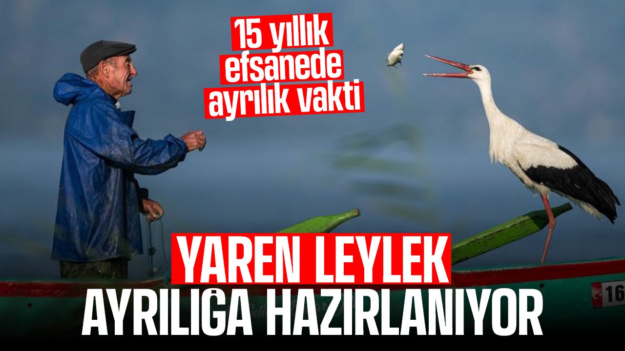 15 yıllık efsanede ayrılık vakti: Yaren Leylek veda edecek