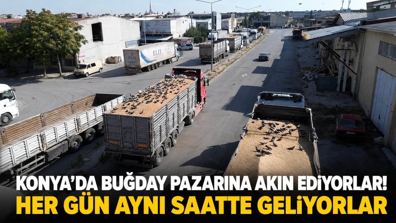Konya’da buğday pazarına akın ediyorlar! Her gün aynı saatte geliyorlar