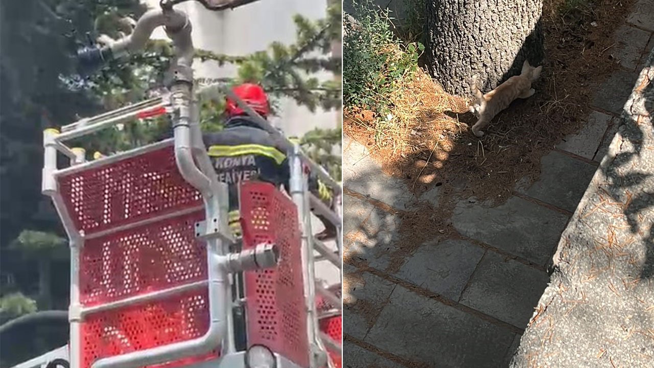 İtfaiyeden kedi kurtarma operasyonu!