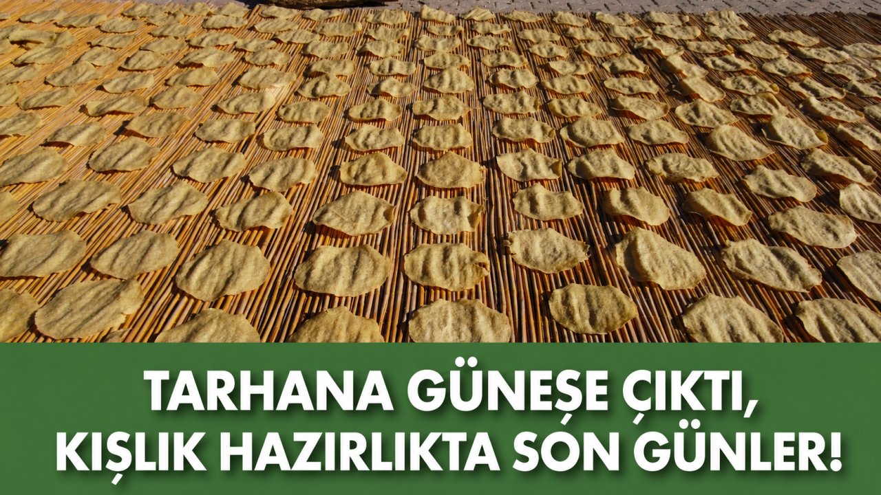 Tarhana güneşe çıktı, kışlık hazırlıkta son günler!