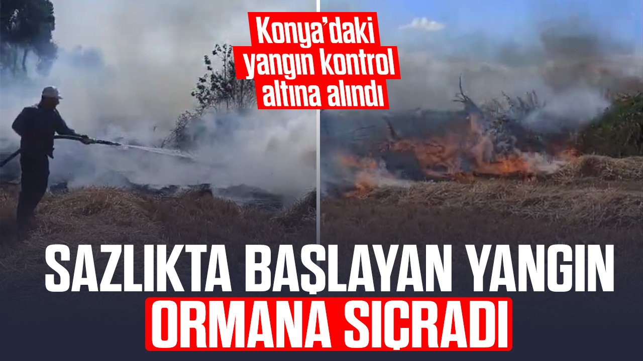 Konya'da sazlıkta başlayan yangın ormana sıçradı! 5 saatlik çalışmayla söndürüldü