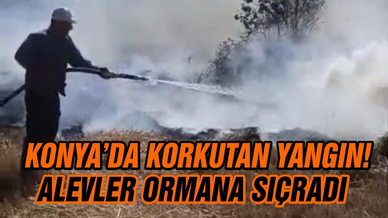 Konya’da korkutan yangın! Alevler ormana sıçradı