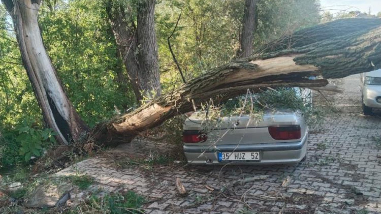Konya’da rüzgar dehşeti! Söğüt ağacı otomobilin üzerine düştü