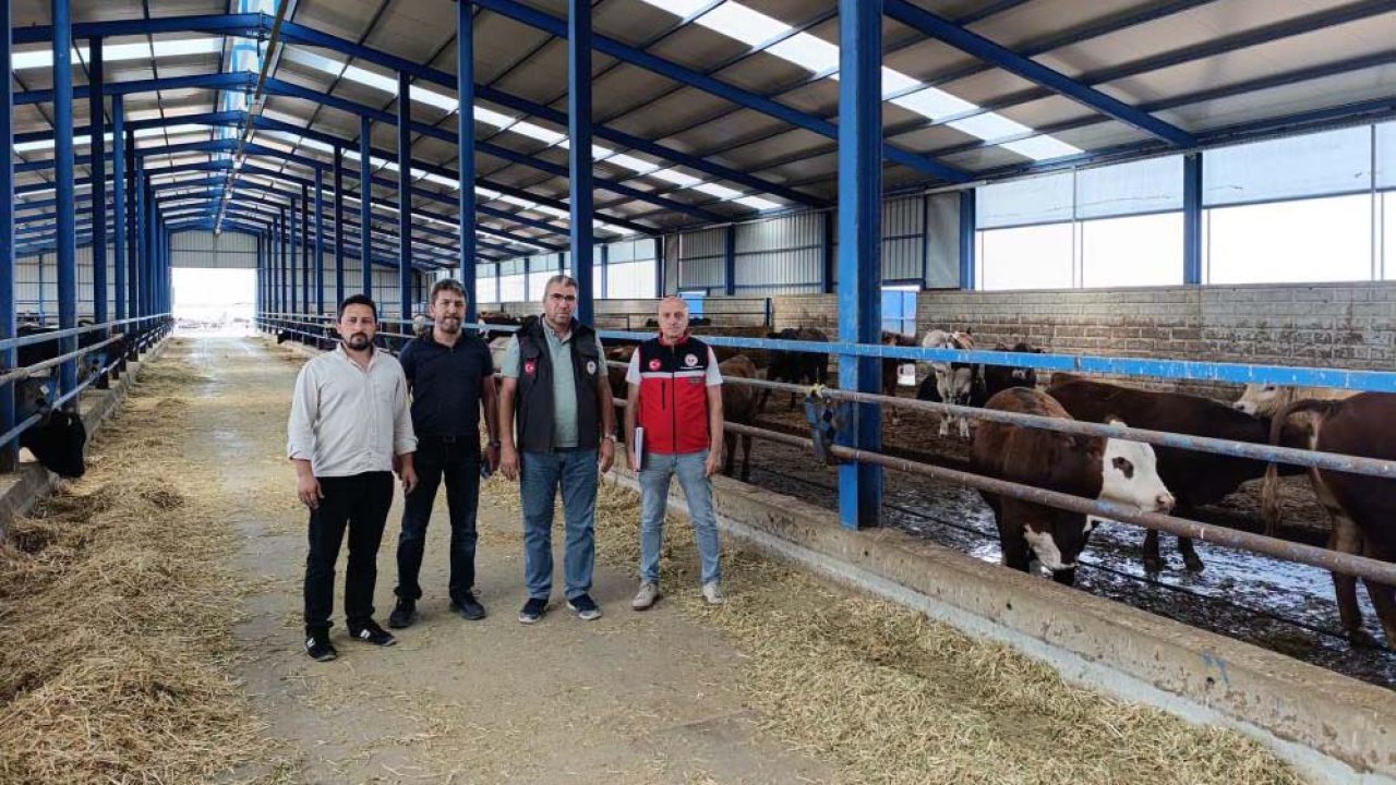 Konya’da hayvan sağlığı için kapsamlı kontrol! Ekipler işletmeleri gezdi