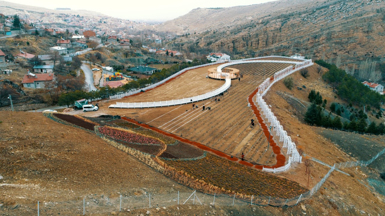 Meram Dere Lavanta Kokacak