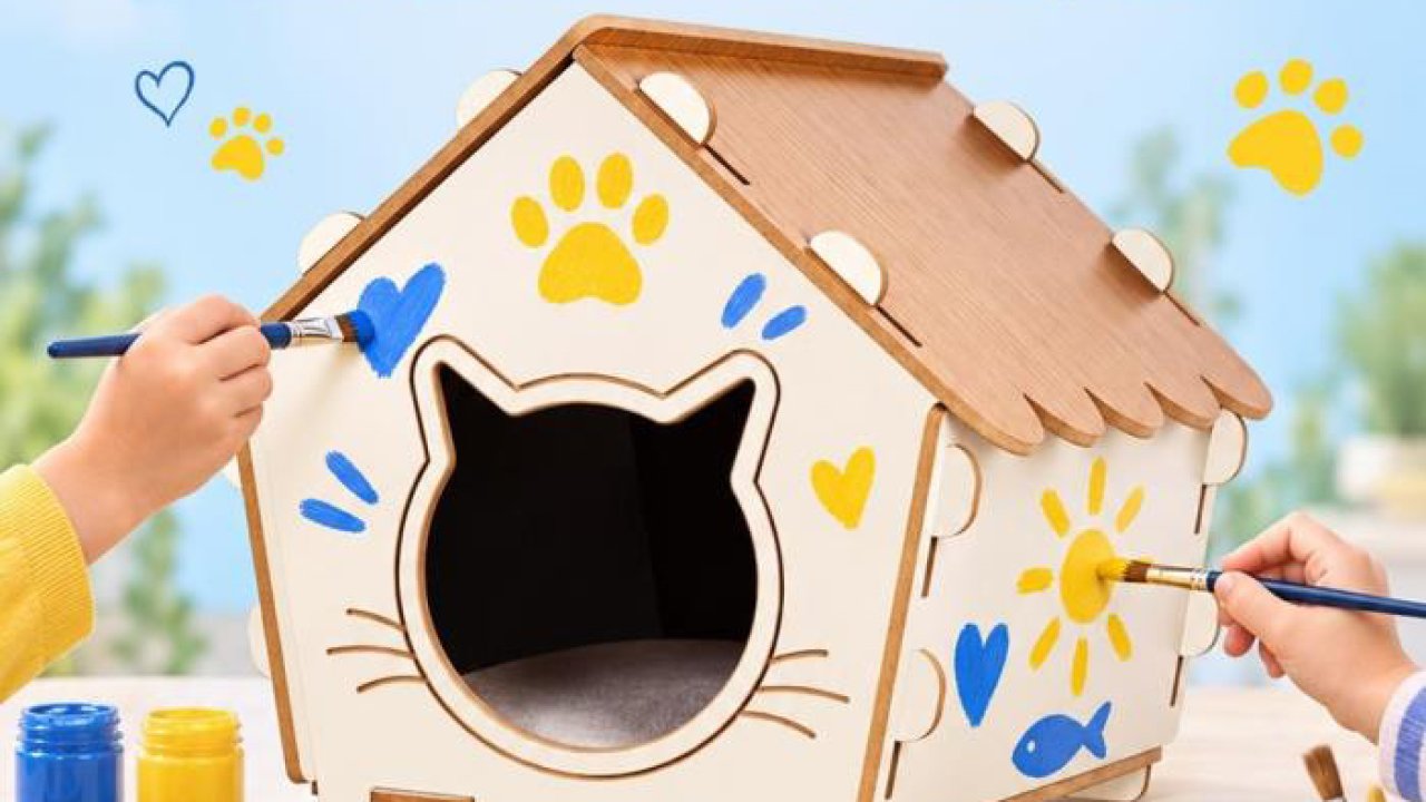 Konya'da çocuklar kendi kedi evlerini yapacak