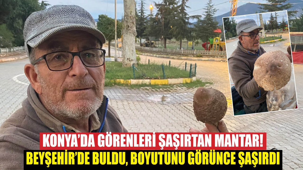 Konya’da Görenleri Şaşırtan Mantar! Beyşehir’de Buldu, Boyutunu Görünce Şaşırdı
