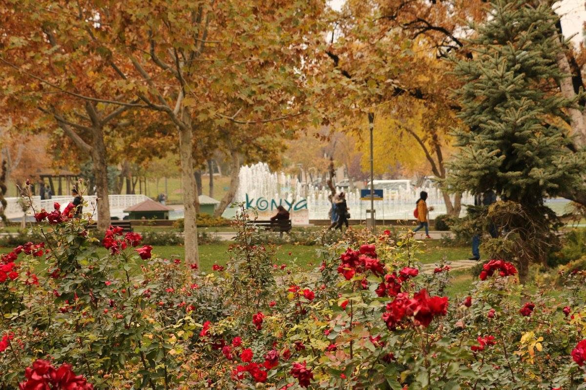 Konya’da 8 Ekim Hava Durumu Belli Oldu! İlçelerde Sıcaklıklar Kaç Derece Olacak?