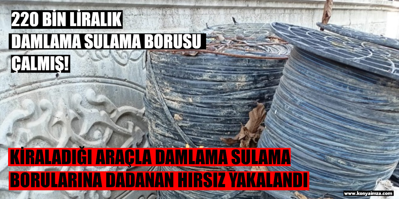 Kiraladığı Araçla Damlama Sulama Borularına Dadanan Hırsız Yakalandı