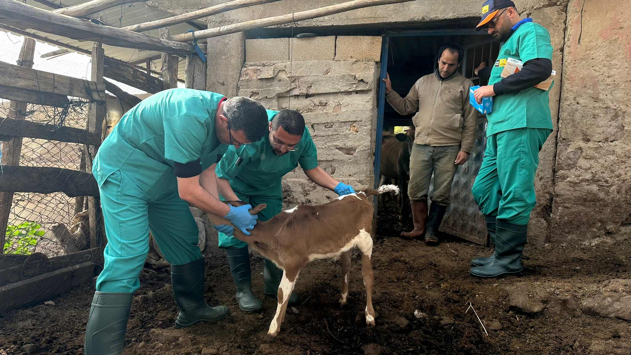 Konya Büyükşehir Hatay’daki Üreticilerin Hayvanlarına Muayene Hizmeti Veriyor