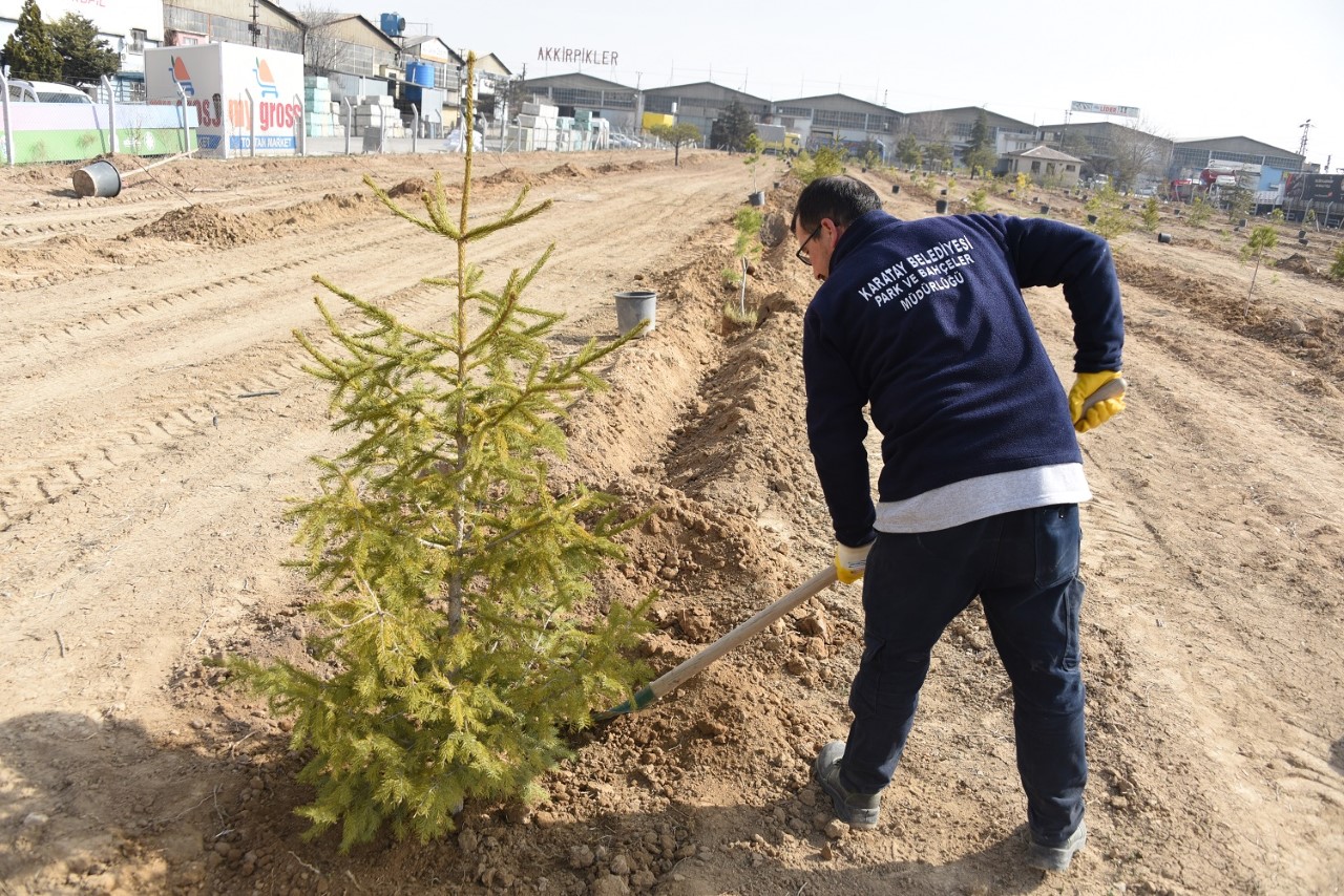 Özel Öğrenciler Karatay’da Fidan Dikti