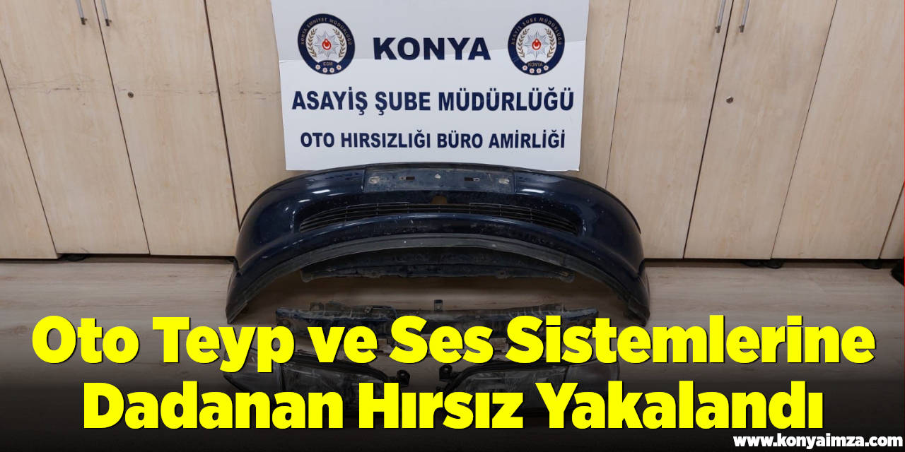 Oto Teyp ve Ses Sistemlerine Dadanan Hırsız Yakalandı
