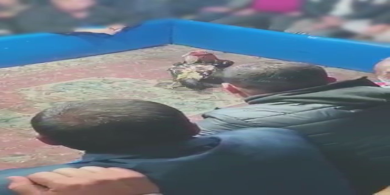 Hayvan Koruma Derneği’nde Horoz Dövüşü’ne Suç Üstü