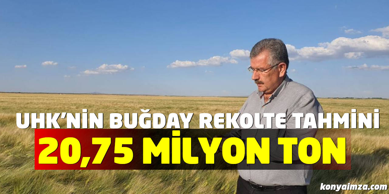 UHK’nin Buğday Rekolte Tahmini 20,75 Milyon Ton